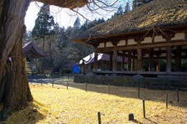 新宮熊野神社 長床の写真