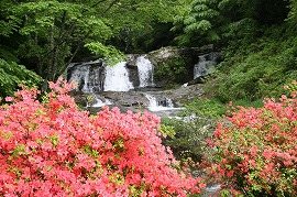 江竜田の滝の写真