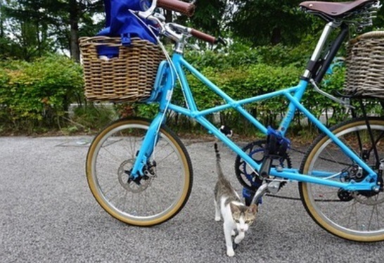福島 自転車