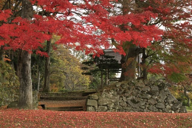 亀ヶ城公園の写真