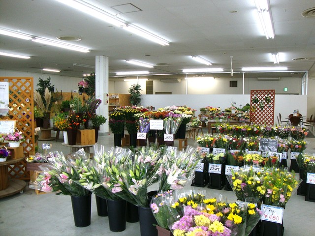 Flower Garden 花の箱 安積店の写真