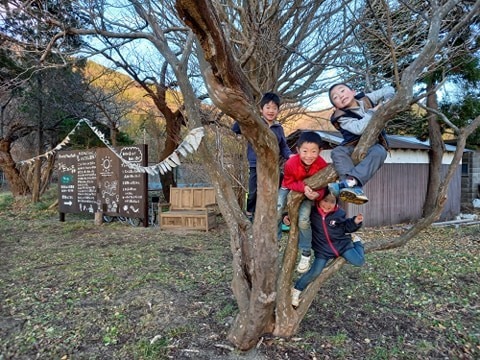 Roots Play Park グロンボロンの森の写真