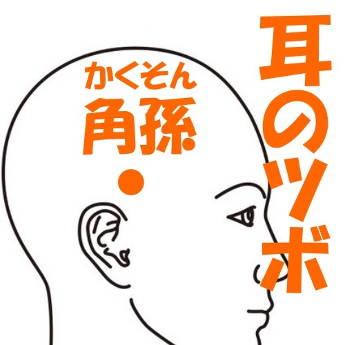 知っておきたい お悩み別で効くツボ 施術メニューのご案内 メニュー紹介 はりきゅう今泉治療院 鍼灸 郡山市南部 ふくラボ