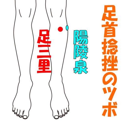 股関節痛のツボ 知っておきたい お悩み別で効くツボ メニュー紹介 はりきゅう今泉治療院 鍼灸 郡山市南部 ふくラボ
