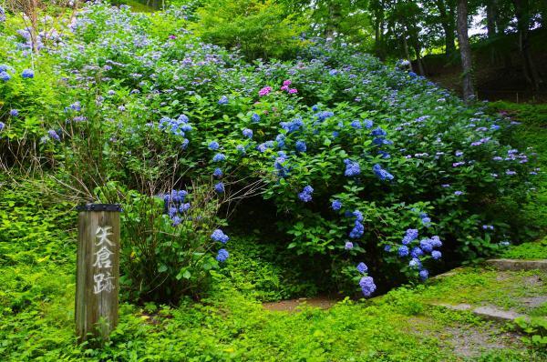 城山公園の写真