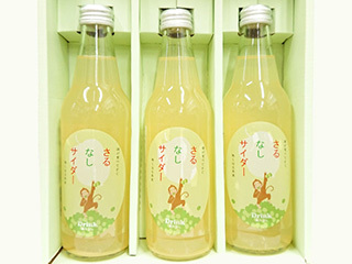 【道の駅たまかわ 生産物直売所 こぶしの里】さるなしサイダー 3本セット(1本 340ml)