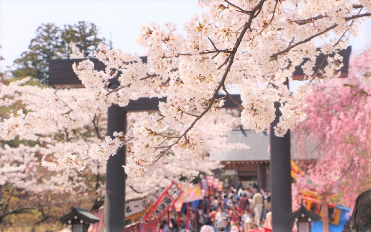 福島の開花は4月4日予測！ ふくラボ！ユーザーオススメの桜スポット