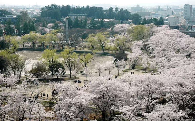 ▲「開成山公園」
写真提供:郡山市観光協会