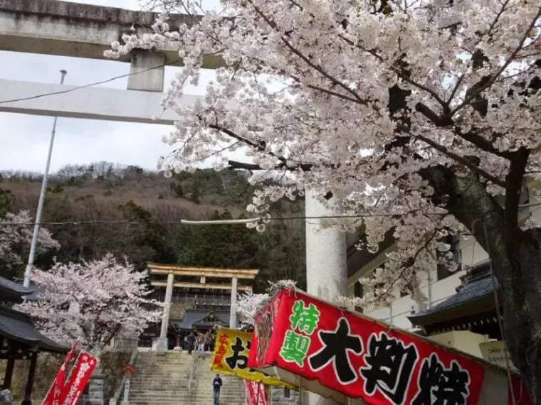 ▲信夫山公園
画像提供:福島市観光コンベンション協会