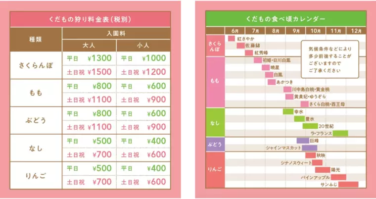 (写真引用:まるせい果樹園 公式HP)