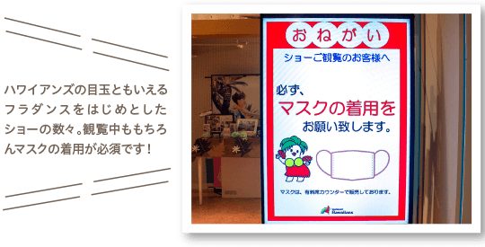 ハワイアンズの目玉ともいえるフラダンスをはじめとしたショーの数々。観覧中ももちろんマスクの着用が必須です！