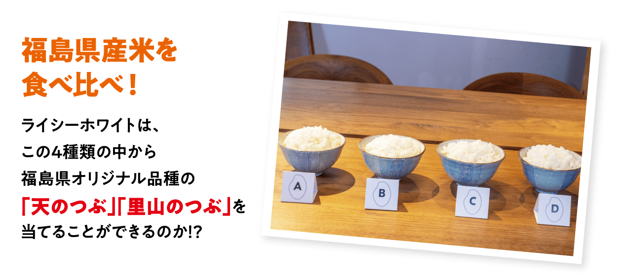 福島県産米を食べ比べ！ライシーホワイトは、この4種類の中から福島県オリジナル品種の「天のつぶ」「里山のつぶ」を当てることができるのか！？