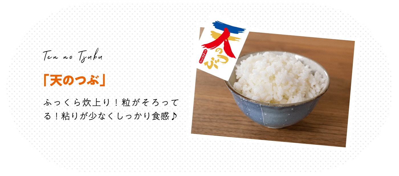 「天のつぶ」ふっくら炊上り！粒がそろってる！粘りが少なくしっかり食感♪