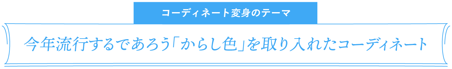 コーディネート変身のテーマ