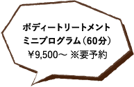 ボディートリートメントミニプログラム（60分）￥9,500～ ※要予約 