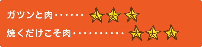 ガツンと肉…　★★★ 焼くだけこそ肉　★★★