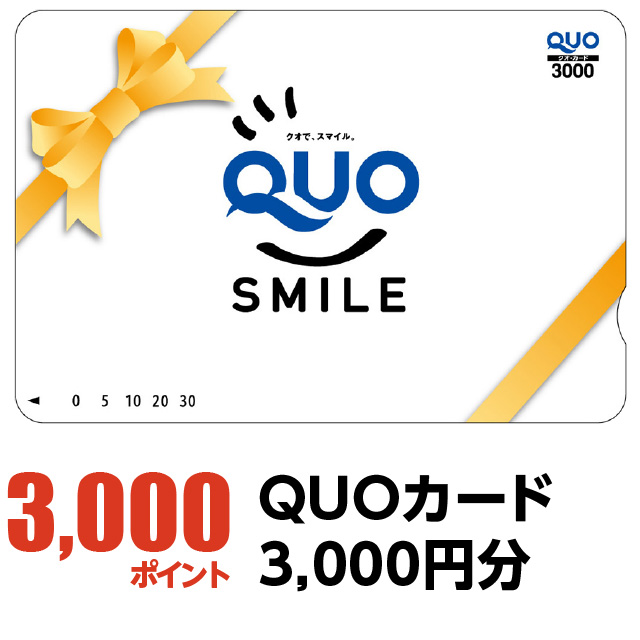 3000ポイント：QUOカード3,000円分