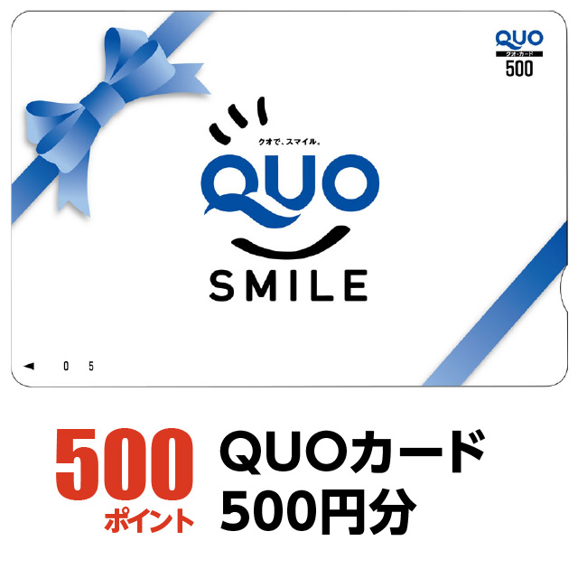500ポイント：QUOカード500円分