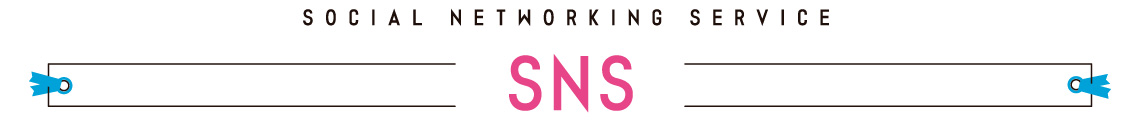 Social Networking Service SNS
