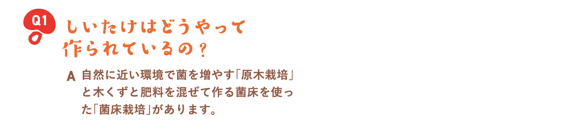 しいたけはどうやって作られているの？