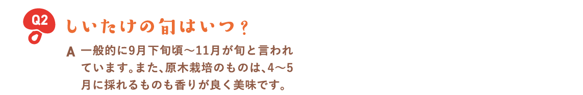 しいたけの旬はいつ？