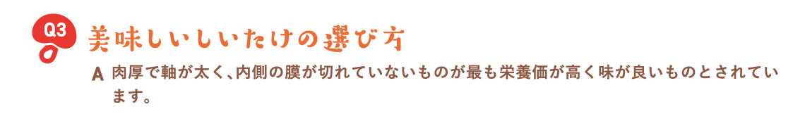 美味しいしいたけの選び方