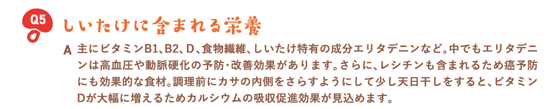 しいたけに含まれる栄養