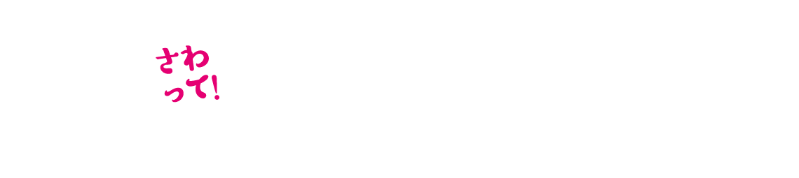 いざ収穫体験！
