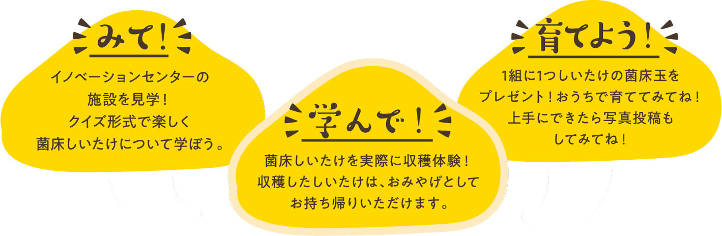 みて!さわって!たべて!