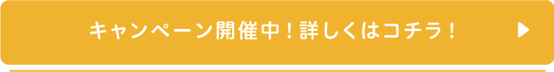 キャンペーン開催中！詳しくはコチラ！